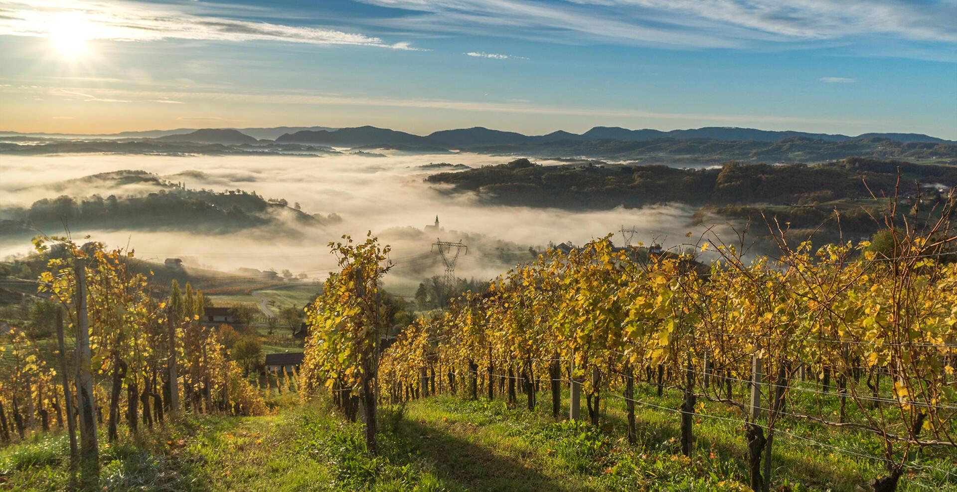 Slovinsko Termální Panonské Slovinsko Podčetrtek